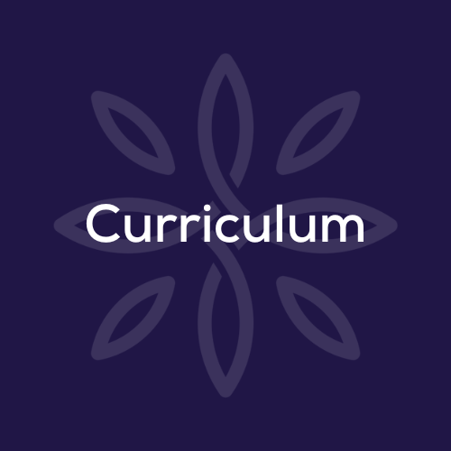 Curriculum
